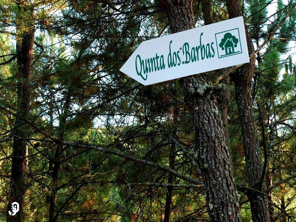 Гостьовий будинок Quinta Dos Barbas Олівейра-ду-Ошпітал Екстер'єр фото